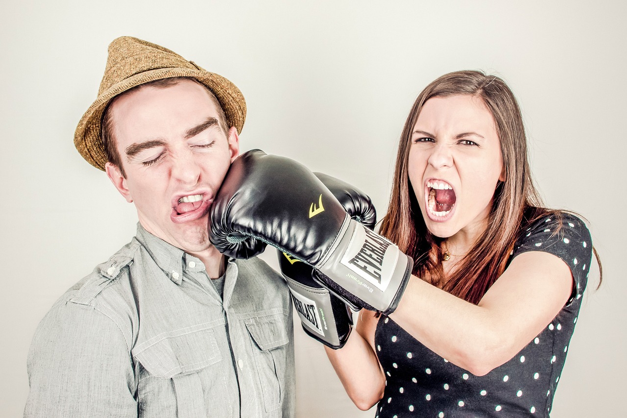1. Conflitti, aggressività, mediazione interculturale - Foto di Ryan McGuire da Pixabay - argument-238529_1280